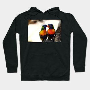 Be My Valentine Hoodie